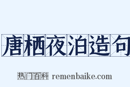 唐栖夜泊造句是什么意思的图片